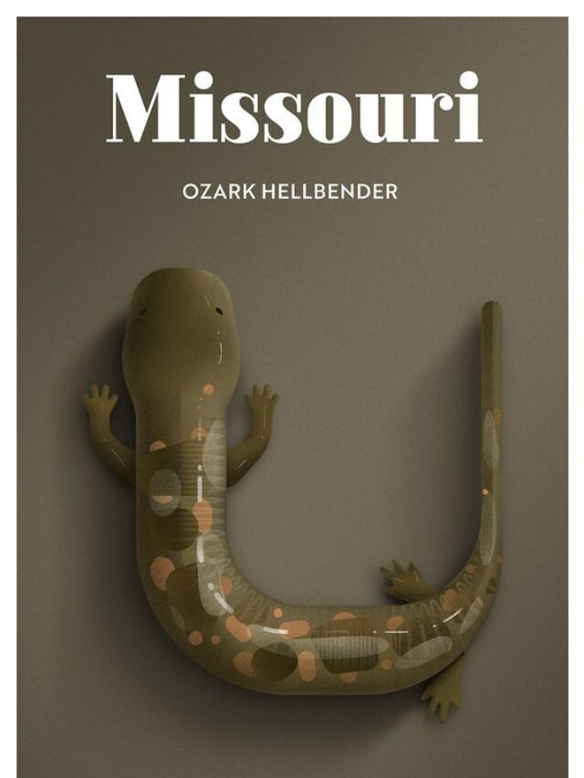 Ozark Hellbender-min